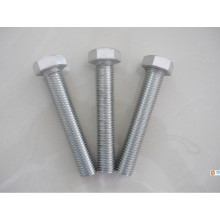 AISI 316 Stainless Steel Bolts